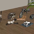 reptile cat cute cat 3d model