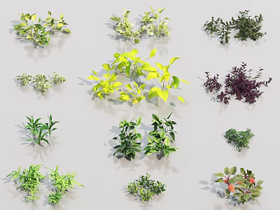 Plant Flowers Collection 3d model Plant Flowers Collection 3d model