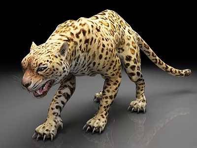Realistic Leopard 3D Model With Spotted Fur And Walking Pose On Black Background 3d model