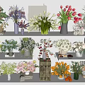 Beautiful Flower Bouquets In Diverse Vases Arranged On Shelves For Home Decor