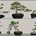 New Chinese potted plant combination 3d model