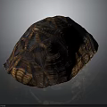 Tortoise With Intricate Brown And Black Striped Shell Pattern Design 3d model