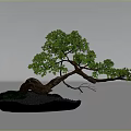 Natural Bonsai Decorative Ornament Set With Curved Trunk Green Leaves And Moss Covered Stones