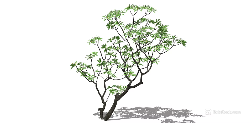 Lush Green Arbor With Twisted Dark Trunk And Dense Foliage Shadow 3d model