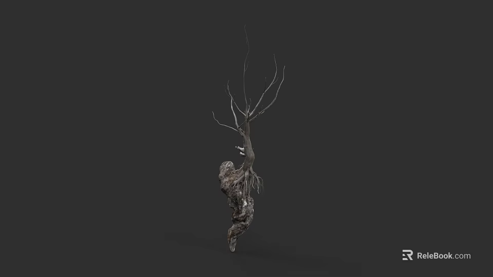 Botanical Artwork of Dry Tree with Exposed Roots and Bare Branches 3d model 