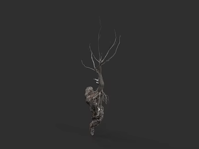 Botanical Artwork of Dry Tree with Exposed Roots and Bare Branches 3d model