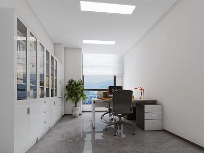 Modern Office Interior With White Glass Cabinets Green Plant Desk Computer And Mountain View 3d model