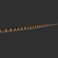 Aquatic Snake With Brown And White Stripes And Long Slender Body
