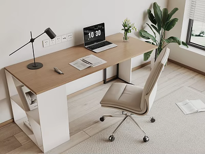 Modern Office Desk With Laptop Notebook Desk Lamp And Ergonomic Chair Near Green Plant 3d model