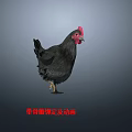 Animated Flying Animal Chicken 3D Model With Rigging And Animation Details 3d model
