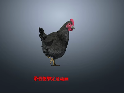 Animated Flying Animal Chicken 3D Model With Rigging And Animation Details 3d model