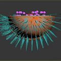 Bacterial Organ Structures With Hair Like Appendages In 3D Rendered Microorganism