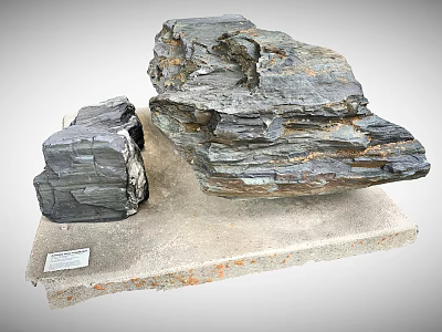 Geological Layered Stone Specimens On Wooden Display Base With Small Label 3d model