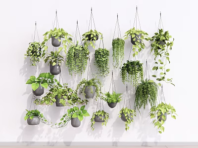 Beautiful Hanging Planters with Various Green Plants Mounted on White Wall for Home Decor 3d model