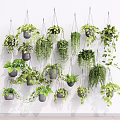 Beautiful Hanging Planters with Various Green Plants Mounted on White Wall for Home Decor