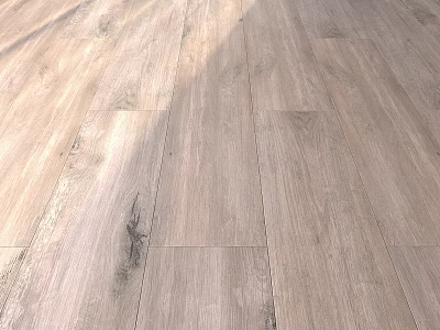 Light Colored Wooden Flooring With Natural Grain And Modern Home Interior 3d model