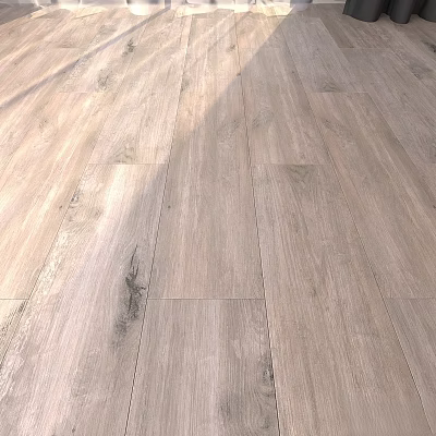 Light Colored Wooden Flooring With Natural Grain And Modern Home Interior 3d model
