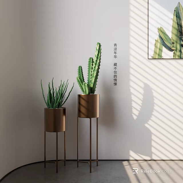 Indoor Potted Cactus And Aloe Vera On Metal Stands With Sunlight Shadows 3d model 