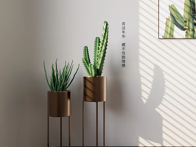 Indoor Potted Cactus And Aloe Vera On Metal Stands With Sunlight Shadows 3d model