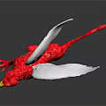 Red Griffin Sculpture With White Wings And Yellow Beak On Black Background