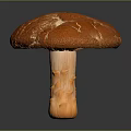 Detailed Orange Mushroom With Cracked Cap And Textured Stem