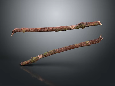 Natural Rustic Wooden Branches With Dry Bark And Textured Surface For Decor 3d model