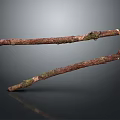 Natural Rustic Wooden Branches With Dry Bark And Textured Surface For Decor