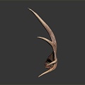 Modern antler antler head elk elk horn 3d model