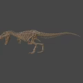 Realistic T Rex Dinosaur Skeleton With Detailed Bones And Standing Posture 3d model