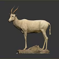Detailed Antelope Taxidermy Display Standing on Stone Base Against Gray Background