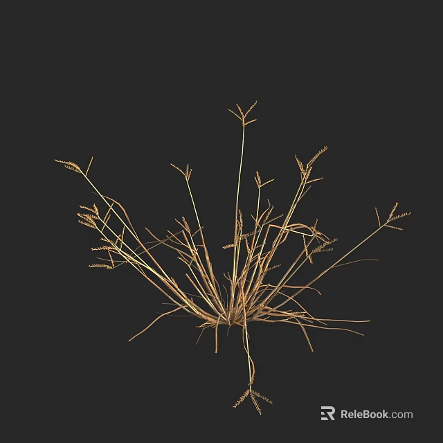 Golden Dried Flowers In Vase With Black Background Decorative 3d model 