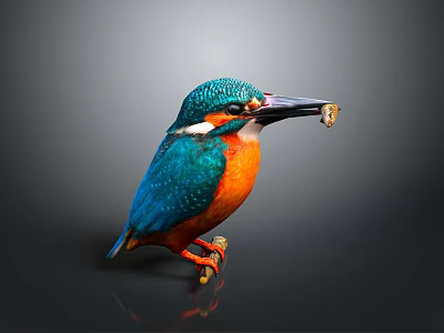 Vibrant Blue And Orange Kingfisher Perched On Branch Holding Prey In Its Beak 3d model