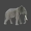 Gray Elephant With White Tusks Standing In Savanna Under Blue Sky
