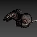 Horned Fantasy Game Movie Character With Pointed Ears Intricate Skin Texture And Spiked Shoulders
