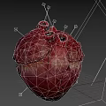 Human Heart As Chest Organ 3D Rendering With Anatomical Structure And Vascular Details