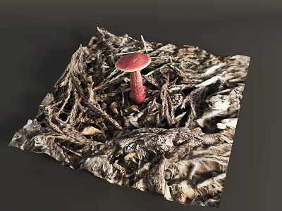 Small Red Wild Mushroom Growing Among Dry Leaves On Forest Floor 3d model