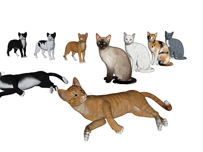 Modern Cat Cat 3d model