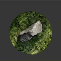 Large Natural Rock Surrounded by Lush Green Moss on Dark Background