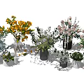 Floral Arrangements In Various Vases With Orange Pink Flowers And Green Foliage