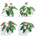 Decorative Bonsai Potted Plants With Lush Green Leaves And Vibrant Red Flowers