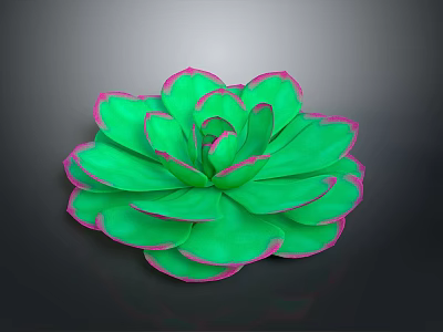 Vibrant Green Succulent Plant With Rosette Shaped Petals And Pink Edges 3d model