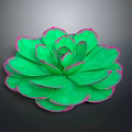 Vibrant Green Succulent Plant With Rosette Shaped Petals And Pink Edges