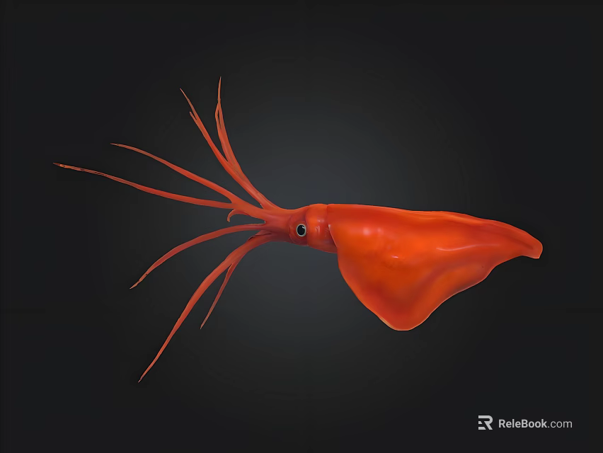 Vibrant Red Squid With Long Tentacles Sleek Body Against Dark Background 3d model