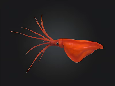 Vibrant Red Squid With Long Tentacles Sleek Body Against Dark Background 3d model