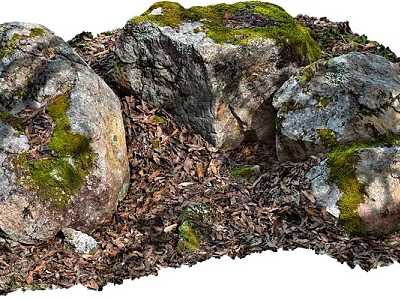 Natural Stones And Wood Elements Covered With Moss And Dry Leaves 3d model