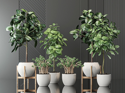 modern potted plant potted plant 3d model