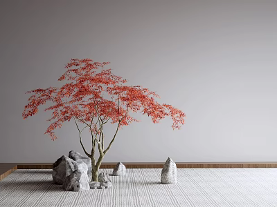 Japanese Style Garden Decor With Red Maple Tree Stones Gray Background Wall And Light Mat 3d model