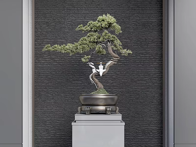 Pine Bonsai Plant In Elegant Pot On Stone Pedestal Against Gray Textured Wall 3d model
