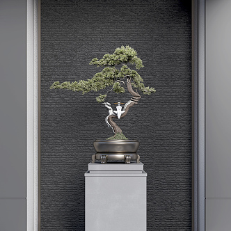 New Chinese Bonsai Zen Pine Bonsai 3d model