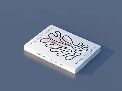 The Art of Flow Book with Abstract Line Art Cover Design for Everyday Balance 3d model